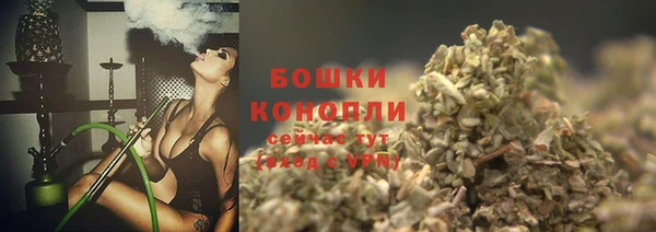 сатива Нефтекумск