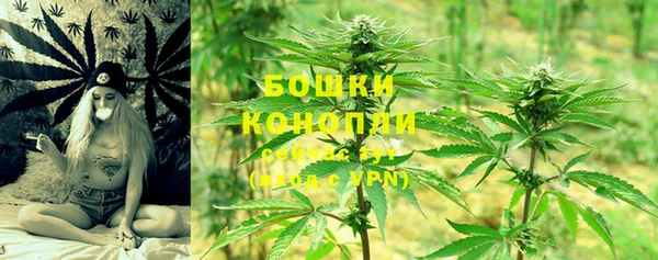сатива Нефтекумск